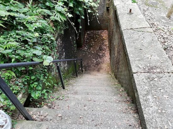 f:id:crycat3:20200809214922j:plain