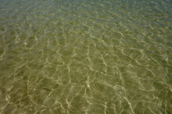 f:id:crycat3:20170921160043j:plain