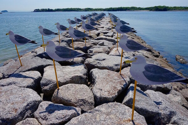 f:id:crycat3:20180512090611j:plain