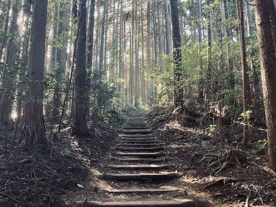 f:id:crycat3:20211104192521j:plain