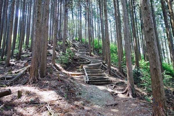 f:id:crycat3:20180501194149j:plain