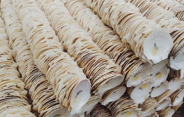 f:id:crycat3:20180225203042j:plain