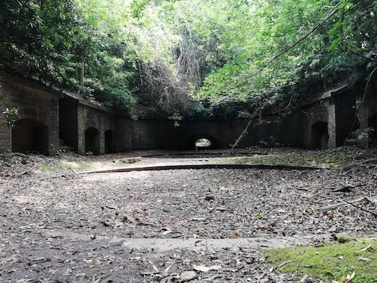 f:id:crycat3:20200809215001j:plain