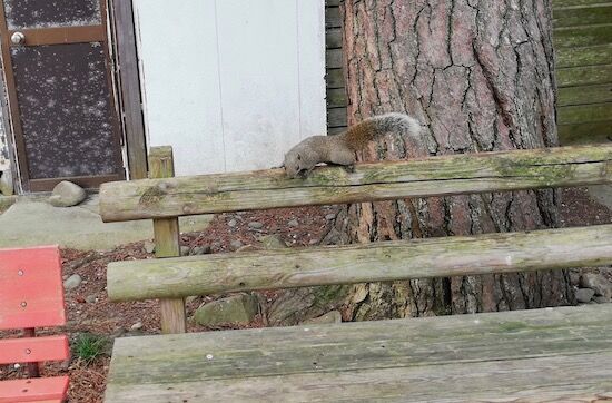 f:id:crycat3:20200809214825j:plain