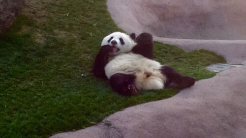 f:id:crycat3:20160228213506j:plain