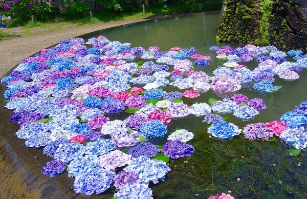 f:id:crycat3:20180625224720j:plain