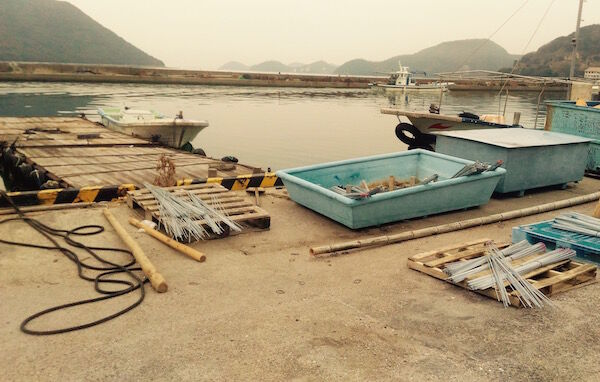 f:id:crycat3:20180225203038j:plain