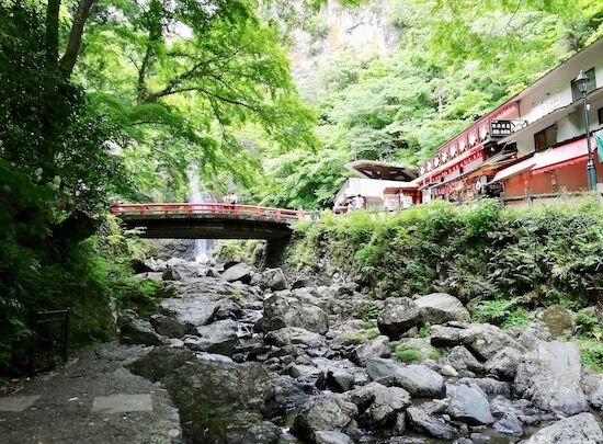 f:id:crycat3:20200610045631j:plain