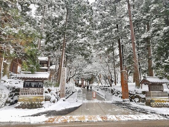 f:id:crycat3:20200208151045j:plain