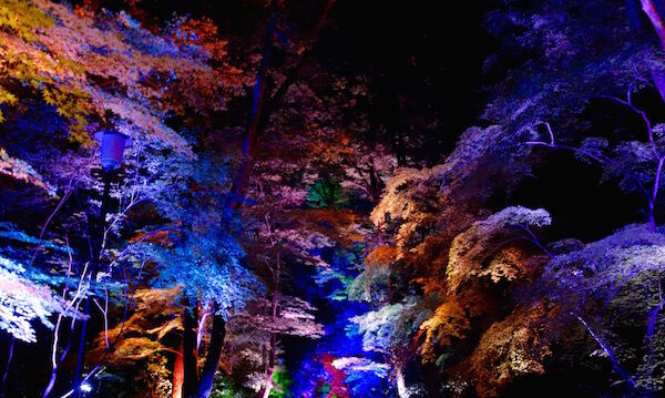 f:id:crycat3:20160831022248j:plain