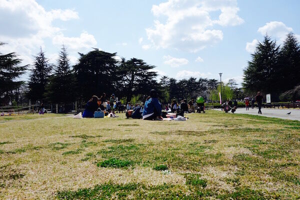 f:id:crycat3:20170329135924j:plain