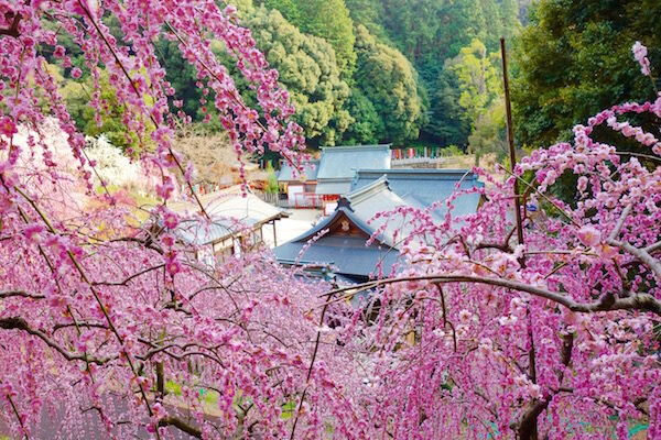 f:id:crycat3:20180315214732j:plain