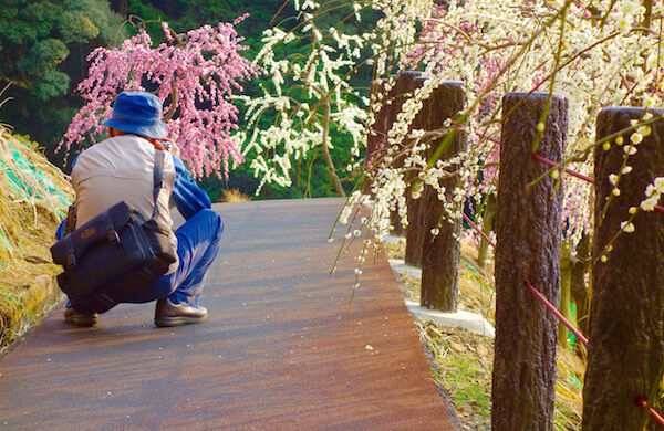 f:id:crycat3:20180315214725j:plain