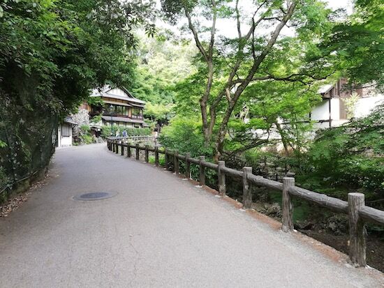 f:id:crycat3:20200610045554j:plain