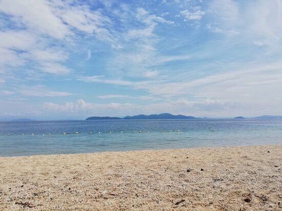 f:id:crycat3:20200903001505j:plain