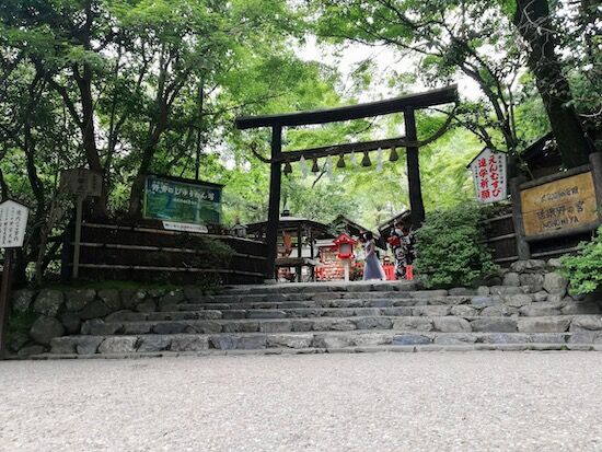 f:id:crycat3:20200722204808j:plain