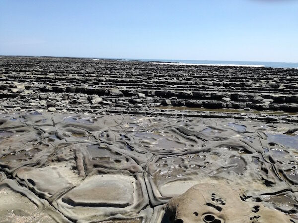 f:id:crycat3:20180907235817j:plain