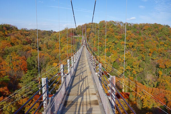 f:id:crycat3:20181129203638j:plain