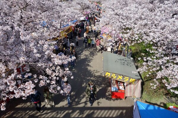 f:id:crycat3:20190409203542j:plain