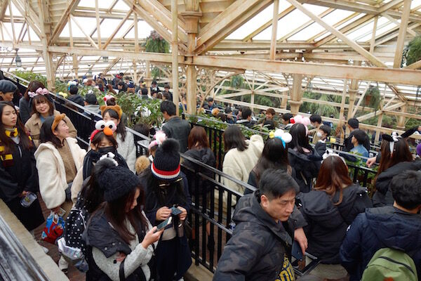 f:id:crycat3:20190208150050j:plain