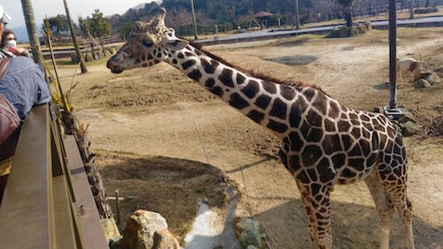 f:id:crycat3:20160228213504j:plain