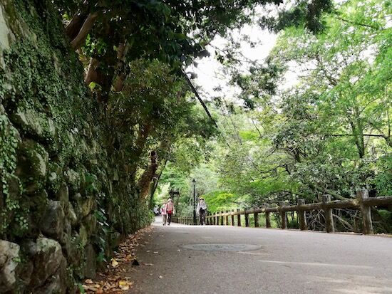 f:id:crycat3:20200610045601j:plain