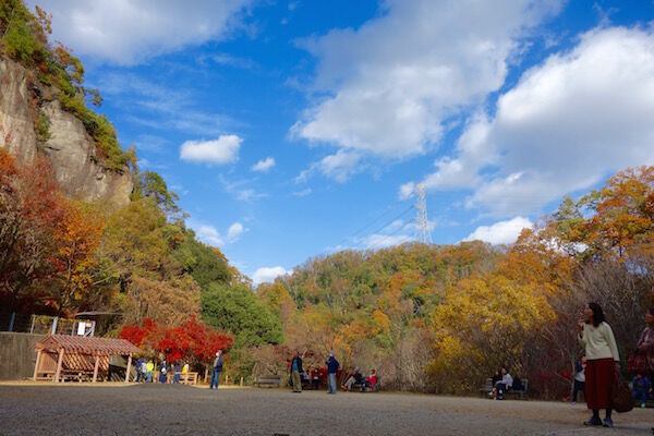 f:id:crycat3:20181129203621j:plain