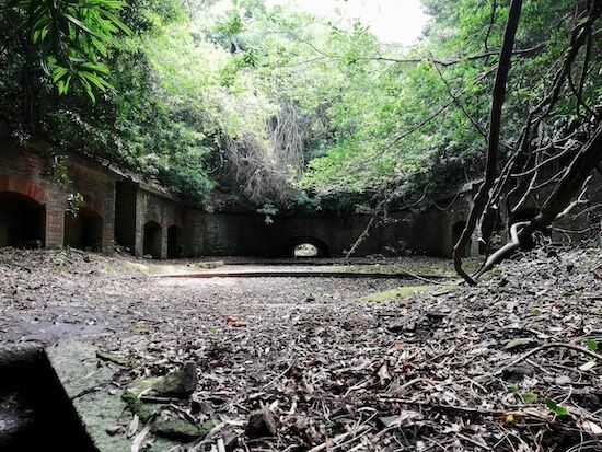 f:id:crycat3:20200809215014j:plain