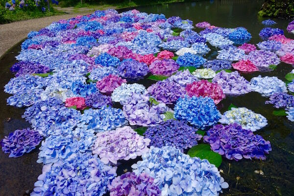 f:id:crycat3:20180625224714j:plain