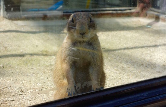 f:id:crycat3:20180510191051j:plain