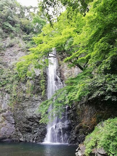 f:id:crycat3:20200610045624j:plain