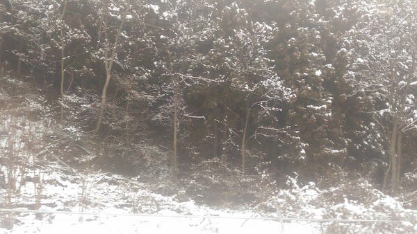 f:id:crycat3:20170328110959j:plain