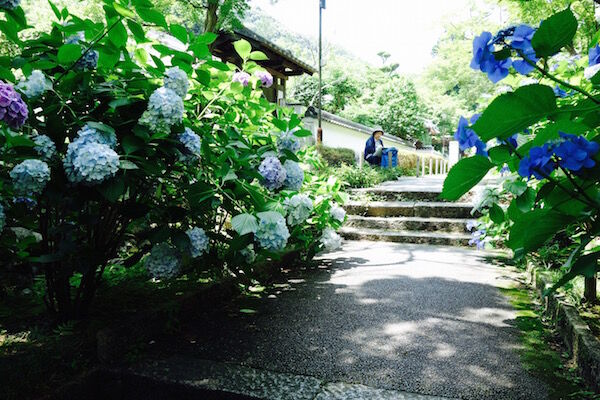 f:id:crycat3:20180625224730j:plain