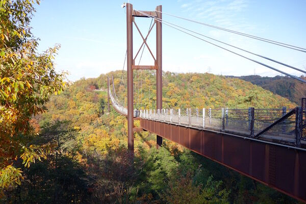 f:id:crycat3:20181129203643j:plain