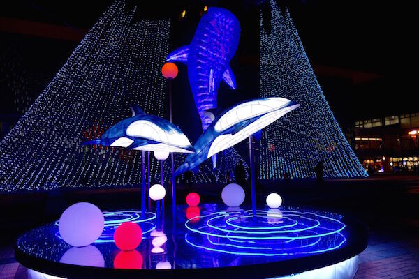 f:id:crycat3:20181117224355j:plain