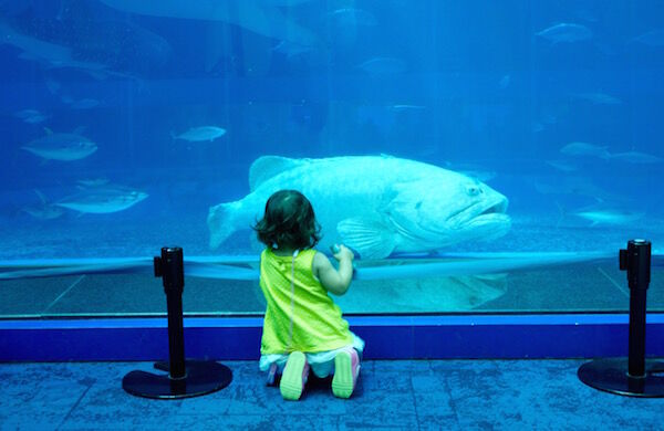 f:id:crycat3:20170921173129j:plain