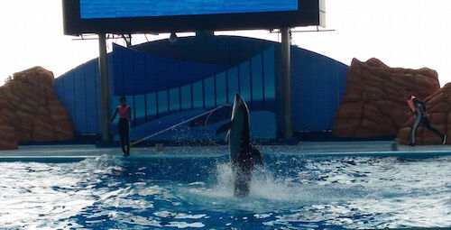 f:id:crycat3:20160228213501j:plain