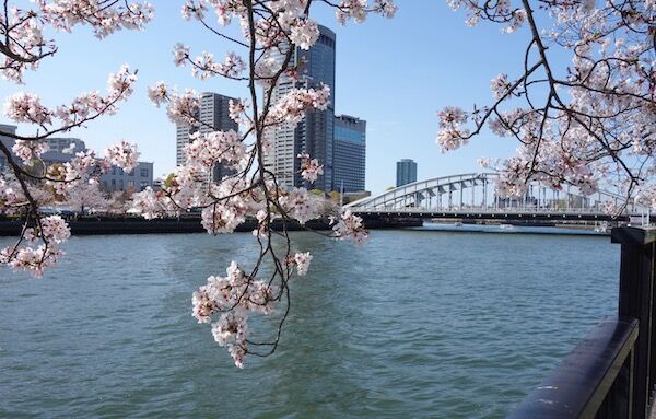 f:id:crycat3:20190409203523j:plain