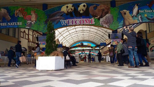 f:id:crycat3:20160228213459j:plain