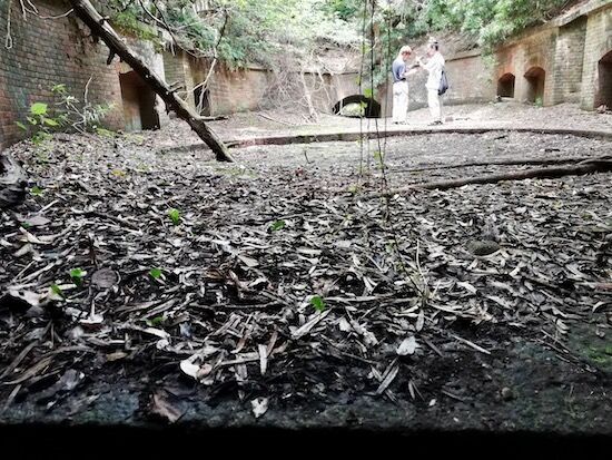 f:id:crycat3:20200809214948j:plain