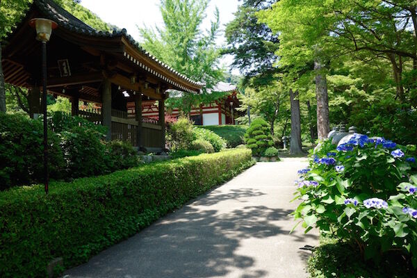 f:id:crycat3:20180625224756j:plain