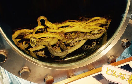 f:id:crycat3:20170923165639j:plain