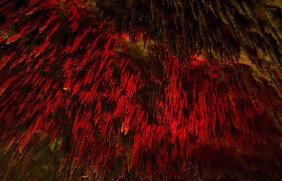 f:id:crycat3:20170923165618j:plain