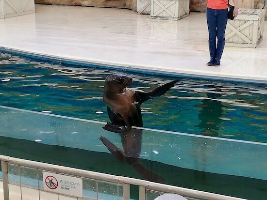 f:id:crycat3:20200709155223j:plain