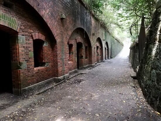 f:id:crycat3:20200809215029j:plain