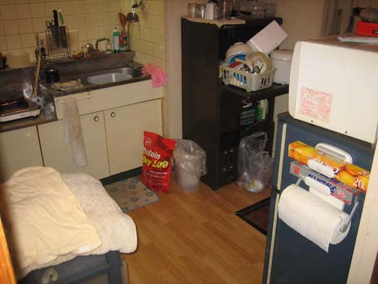 f:id:crycat3:20211106144912j:plain