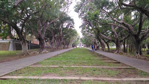 f:id:crycat3:20160124222453j:plain