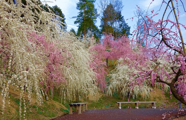 f:id:crycat3:20180315214747j:plain