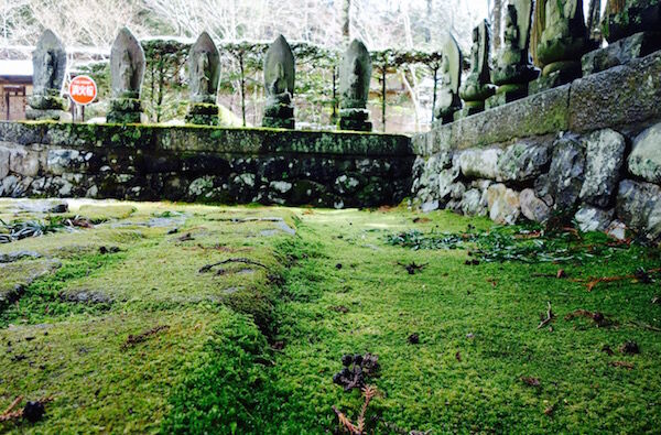 f:id:crycat3:20170329122047j:plain