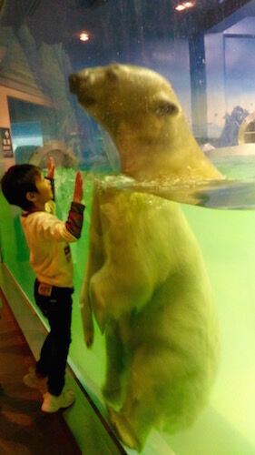 f:id:crycat3:20160228213505j:plain